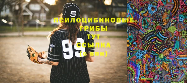 COCAINE Каменка