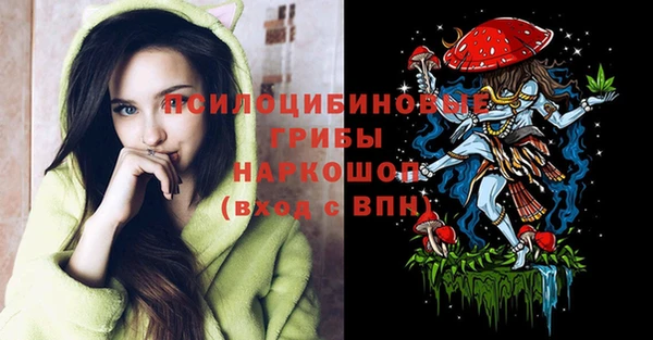 COCAINE Каменка