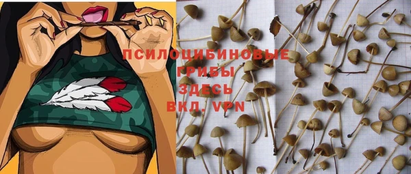 ALPHA-PVP Каменногорск