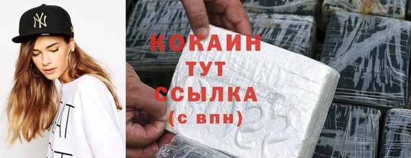 COCAINE Каменка