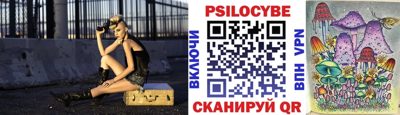 Купить где  Нефтегорск  Псилоцибиновые грибы мицелий 