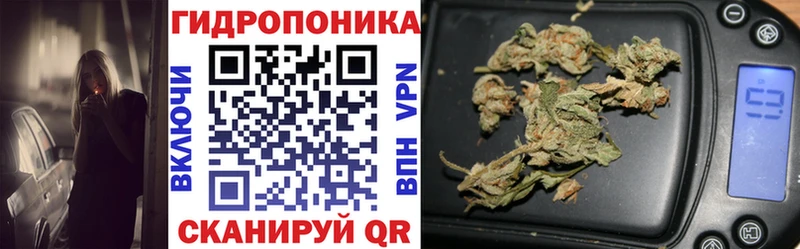 Бошки марихуана ГИДРОПОН Нефтегорск